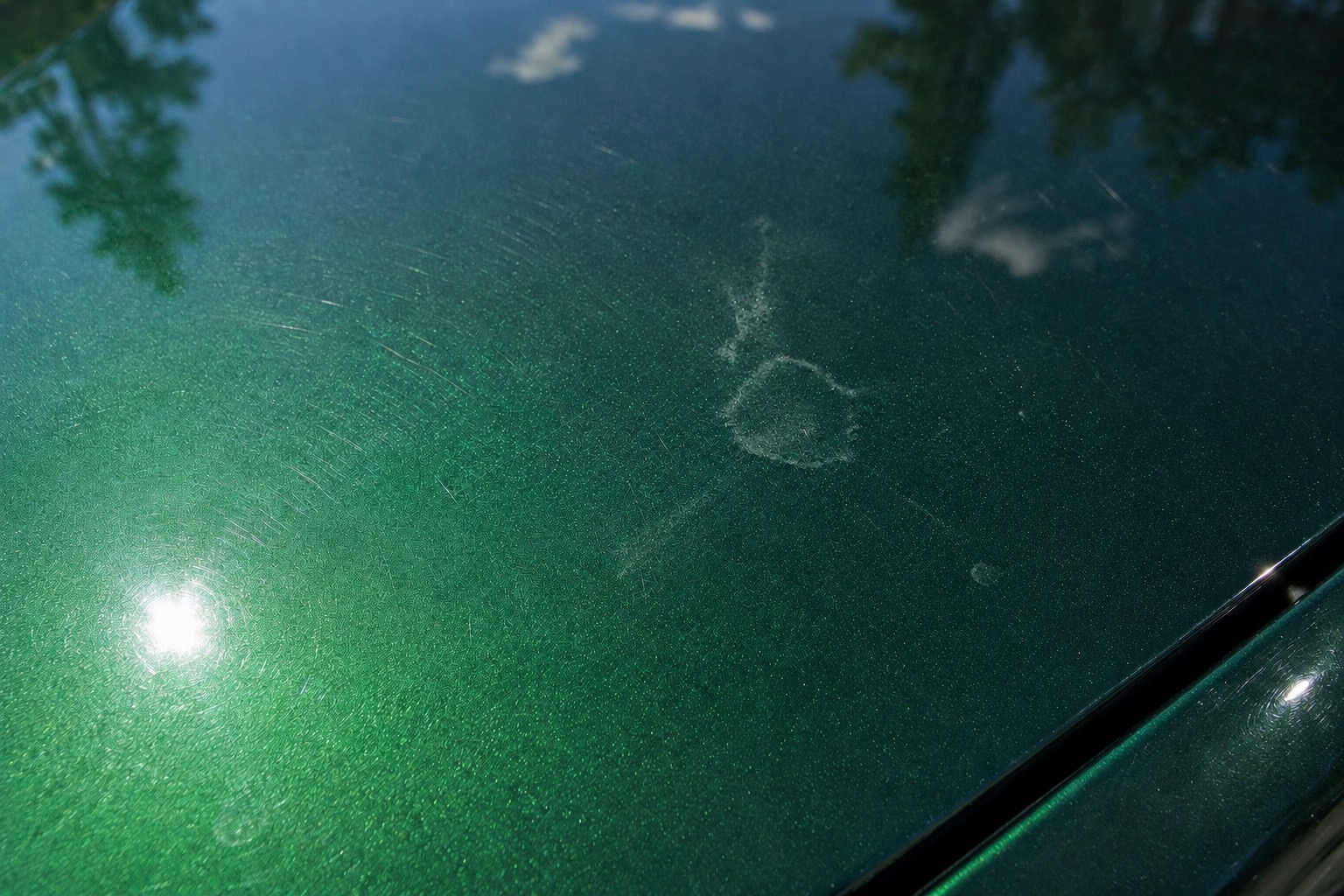 Bird dropping etching on car paint — paint correction Melbourne