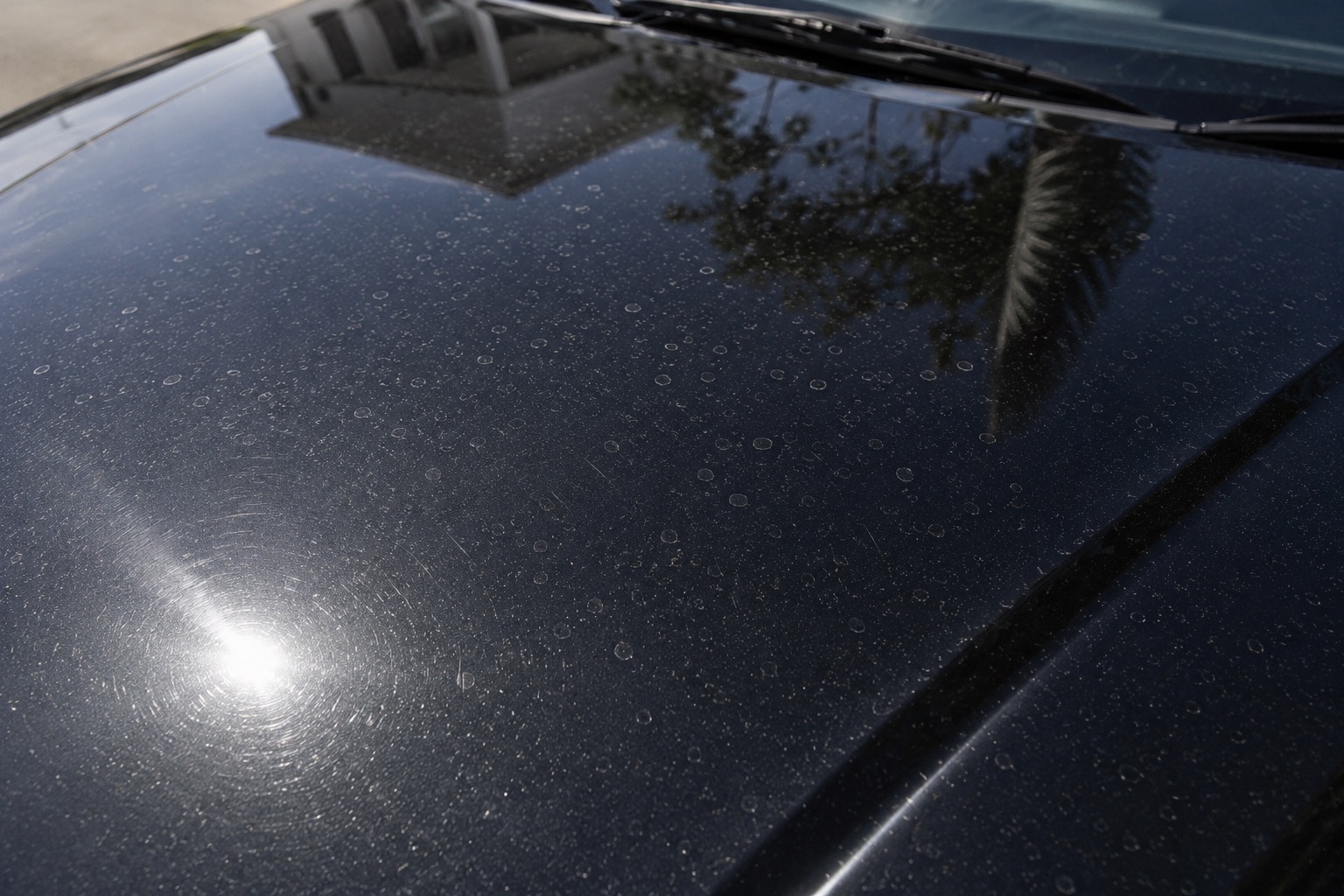 Water spots on car paint — paint correction Melbourne